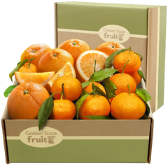 Fruit Purees
